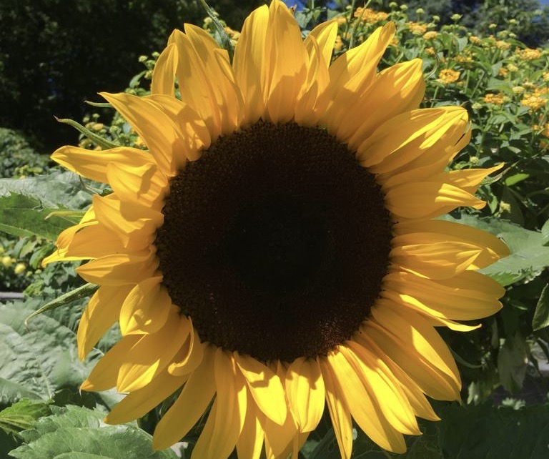 Manchmal scheint eben nicht die Sonne